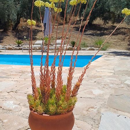 La Pluma Hotel Iznajar Bagian luar foto